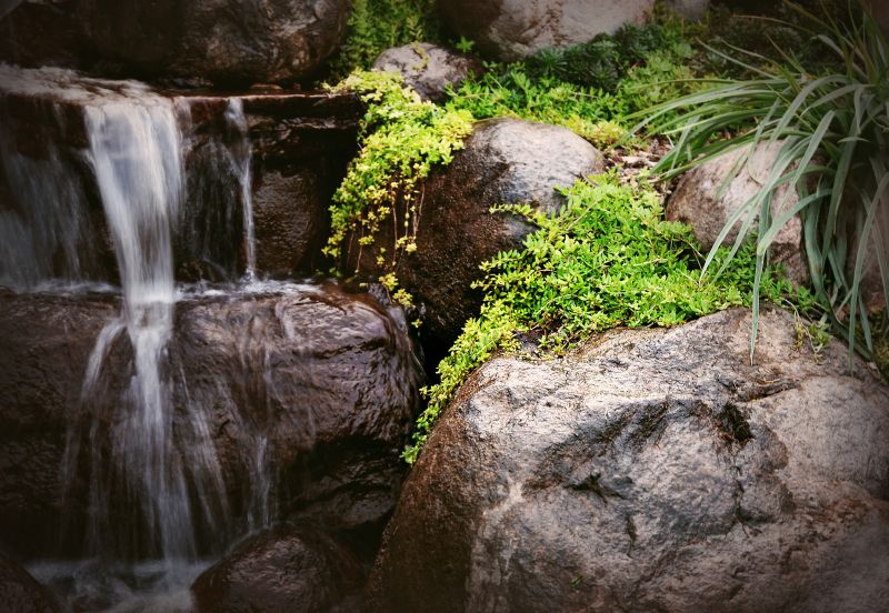 Garden Waterfall Installation in Honolulu, HI