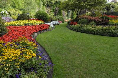 Park Landscaping in Honolulu, HI