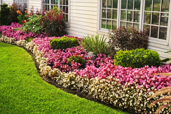 Boosts curb appeal.
