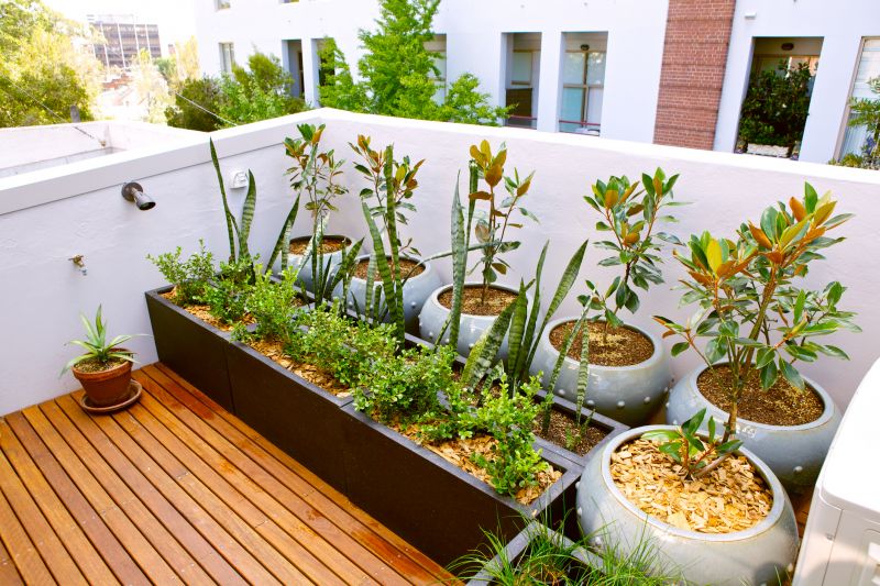 Boxwood Planting in Ventura County, CA