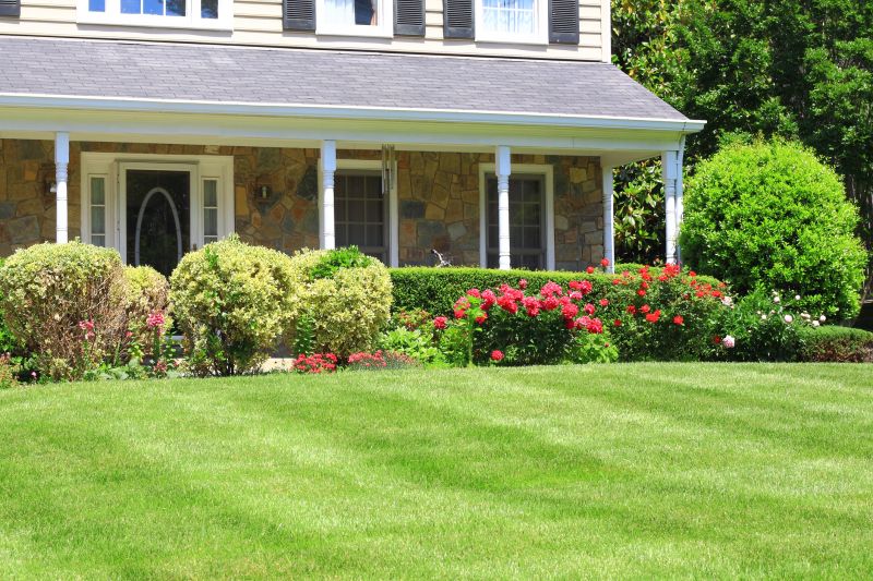 Bush Landscaping in Honolulu, HI