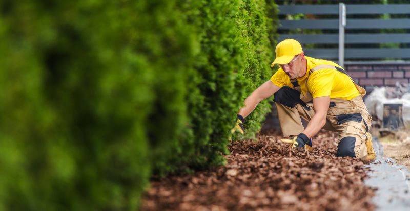 Cedar Mulch Installation in Honolulu, HI