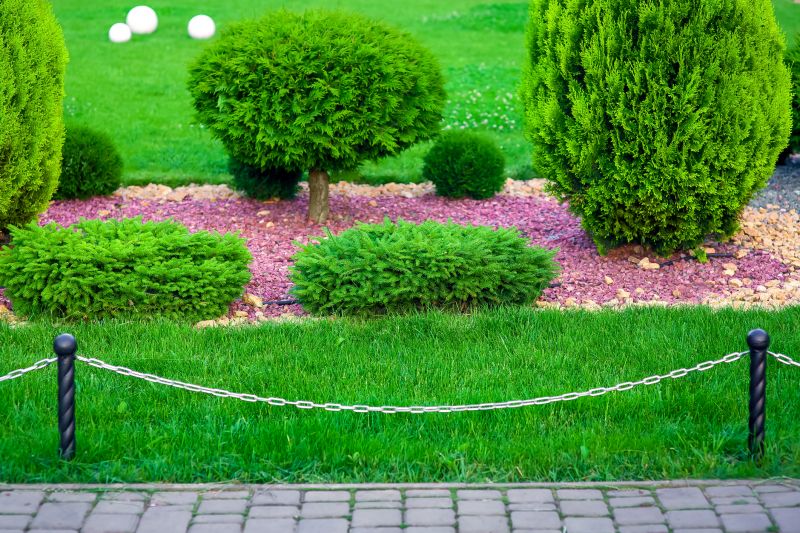 Cypress Mulch Installation in Ventura County, CA