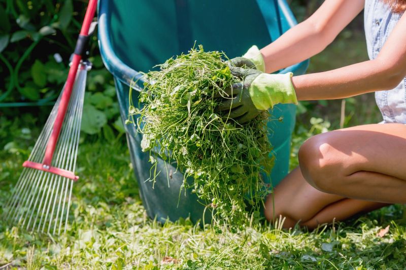 Flower Bed Cleanup Service in Ventura County, CA