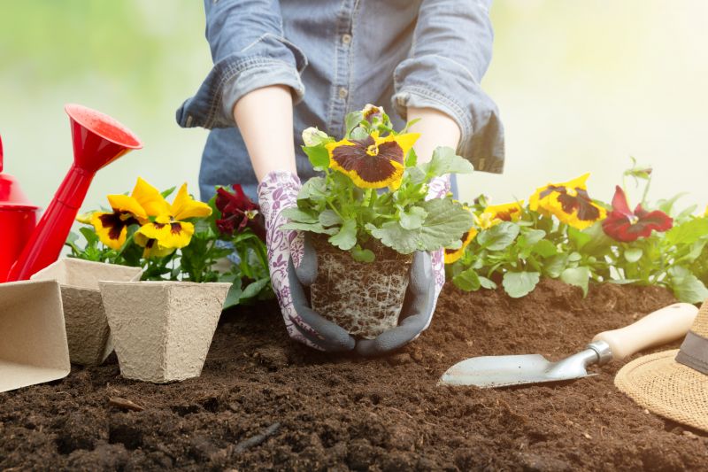 Flower Landscaping in Ventura County, CA