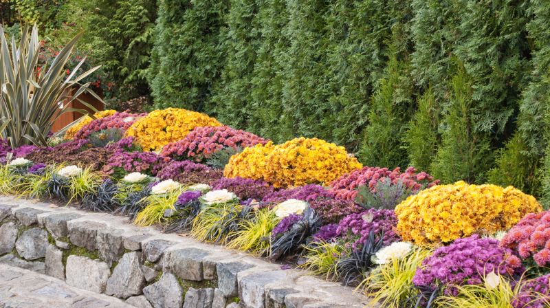 Garden Border Replacement in Citrus County, FL