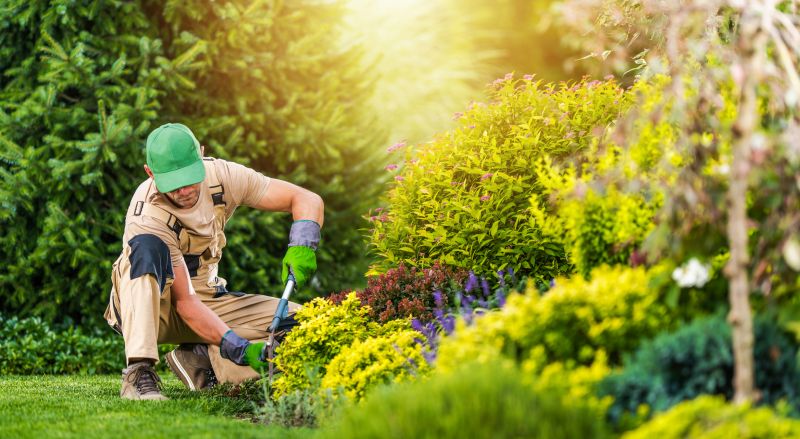 Garden Maintenance Service in Honolulu, HI