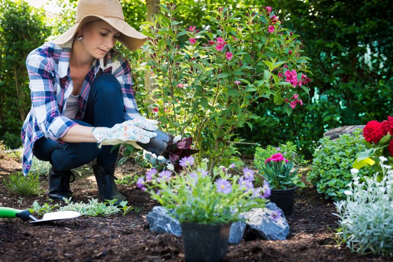 Garden Planting Service in Ventura County, CA