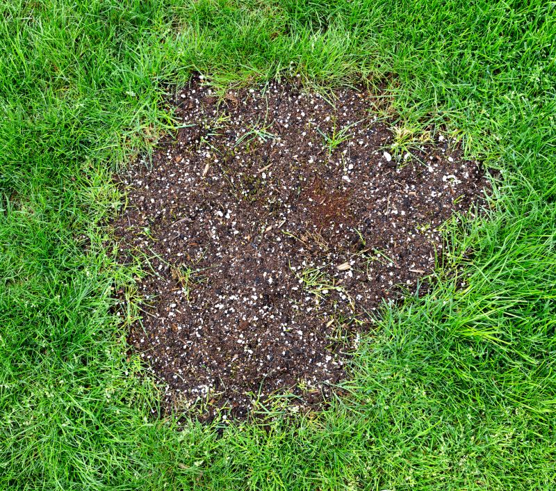 Grass Repair in Honolulu, HI