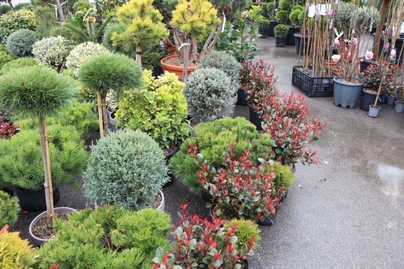 Greenery Planting in Ventura County, CA