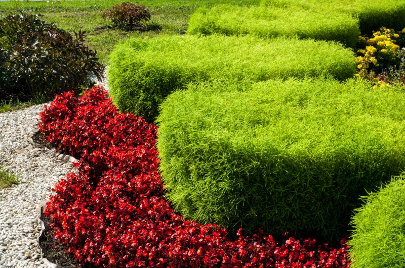 Hedge Planting in Honolulu, HI