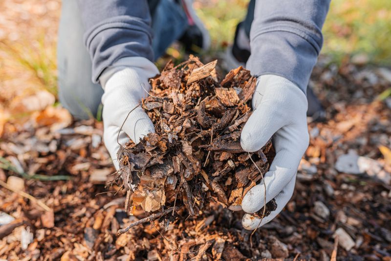Shredded Mulch Service in Honolulu, HI
