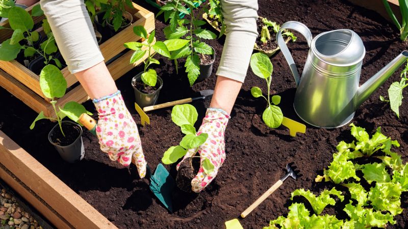 Spring Garden Maintenance in Ventura County, CA