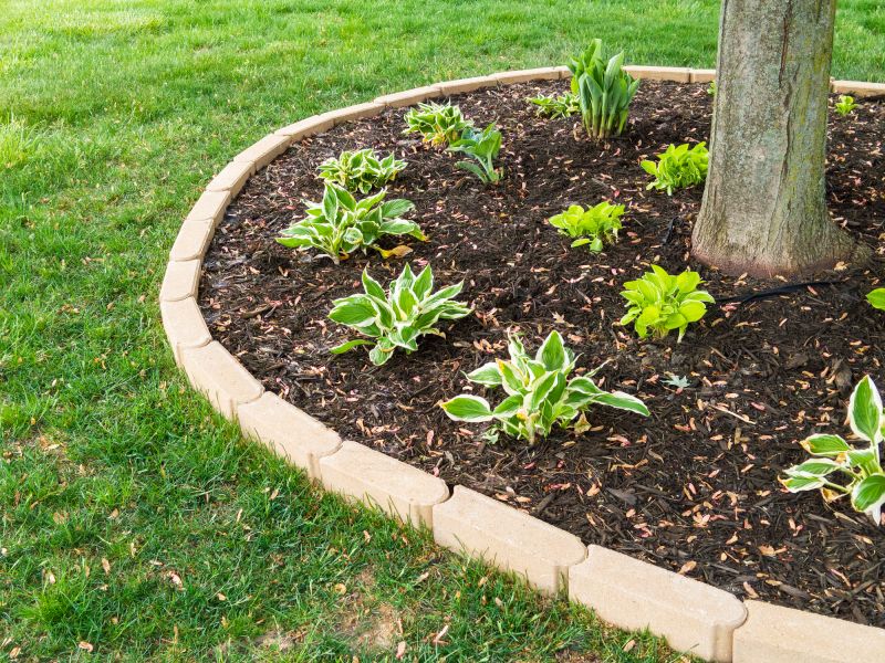 Tree Edging Installation in Citrus County, FL