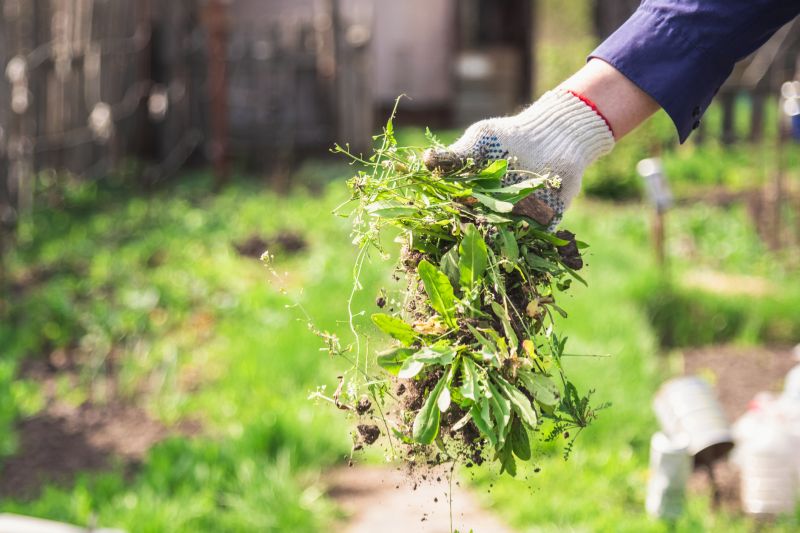 Weeding And Mulching in Ventura County, CA