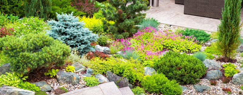 Xeriscape Landscaping in Ventura County, CA